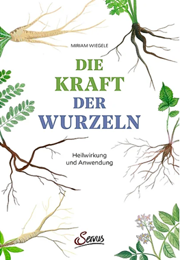 Die Kraft der Wurzeln: Heilwirkung und Anwendung