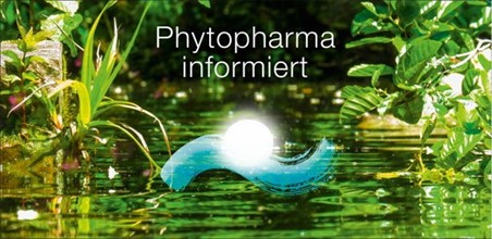 WEBINAR: Phytotherapie unter energetischen Aspekten – traditionelle und moderne Anwendung pflanzlicher Arzneimittel