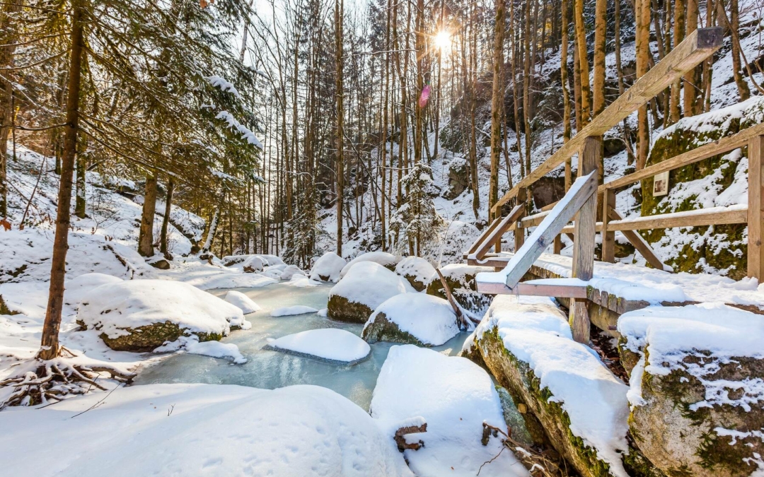 Winter Wellness in Bad Kreuzen